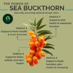 Sea Buckthorn Juice Pulp Concentrate 300ml | Cold-Pressed | Makes 50 Glasses | Immunity & Gut Health Support |Seabuckthorn Herbal Supplement Drink for Men & Women (Pack of 1) - Image 8