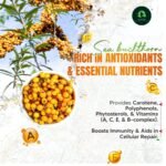 Sea Buckthorn Juice Pulp Concentrate 300ml | Cold-Pressed | Makes 50 Glasses | Immunity & Gut Health Support |Seabuckthorn Herbal Supplement Drink for Men & Women (Pack of 1) - Image 5