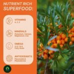 Sea Buckthorn Juice Pulp Concentrate 300ml | Cold-Pressed | Makes 50 Glasses | Immunity & Gut Health Support |Seabuckthorn Herbal Supplement Drink for Men & Women (Pack of 1) - Image 4