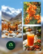 Sea Buckthorn Juice 500ml| Natural Herbal Multi-Supplement Drink| Daily Wellness Juice for Immunity, Digestion& Skin Glow | Healthy Herbal Beverage for Men & Women | Pack of 1 - Image 6
