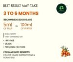 Sea Buckthorn Juice 500ml| Natural Herbal Multi-Supplement Drink| Daily Wellness Juice for Immunity, Digestion& Skin Glow | Healthy Herbal Beverage for Men & Women | Pack of 1 - Image 7