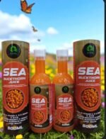 Sea Buckthorn Juice 500ml| Natural Herbal Multi-Supplement Drink| Daily Wellness Juice for Immunity, Digestion& Skin Glow | Healthy Herbal Beverage for Men & Women | Pack of 1 - Image 12